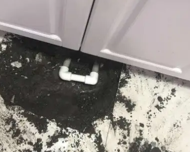 娄底查漏水哪家好